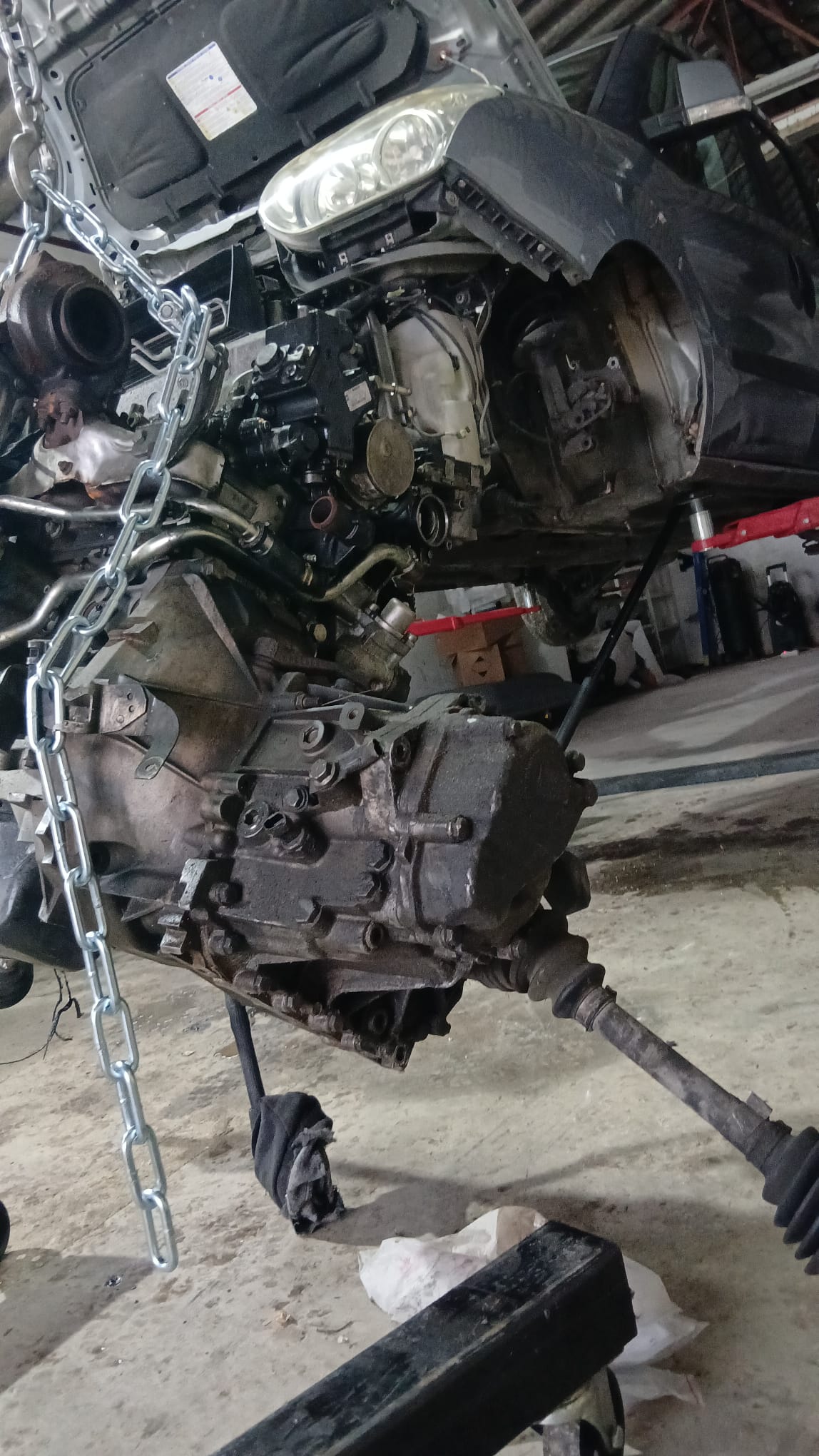 Galeria 4